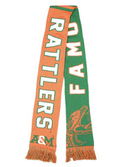 FAMU scarf - CSI